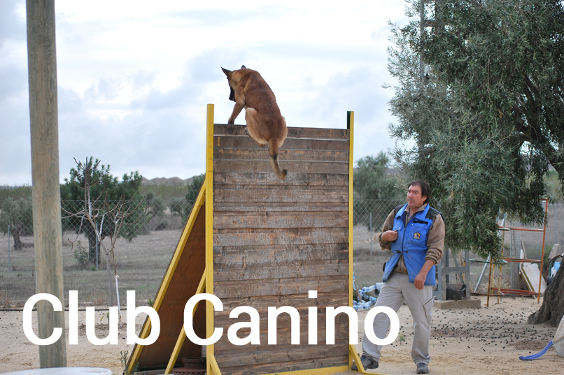 SeguraCan Club Canino